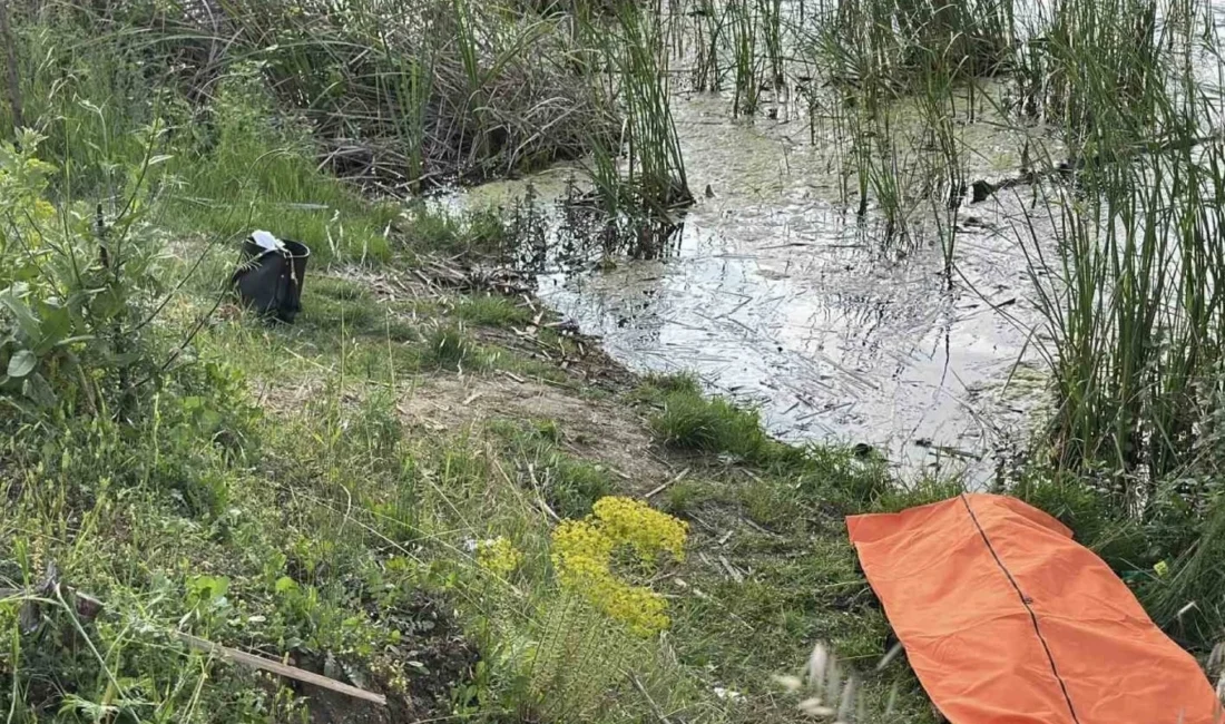 Sakarya’nın Arifiye ilçesinden acı bir son dakika haberi geldi.