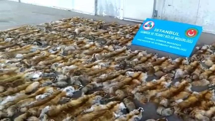 Gümrük ve Ticaret Bakanlığı’na bağlı İstanbul Haydarpaşa Ro-do Limanı’nda bir TIR’da