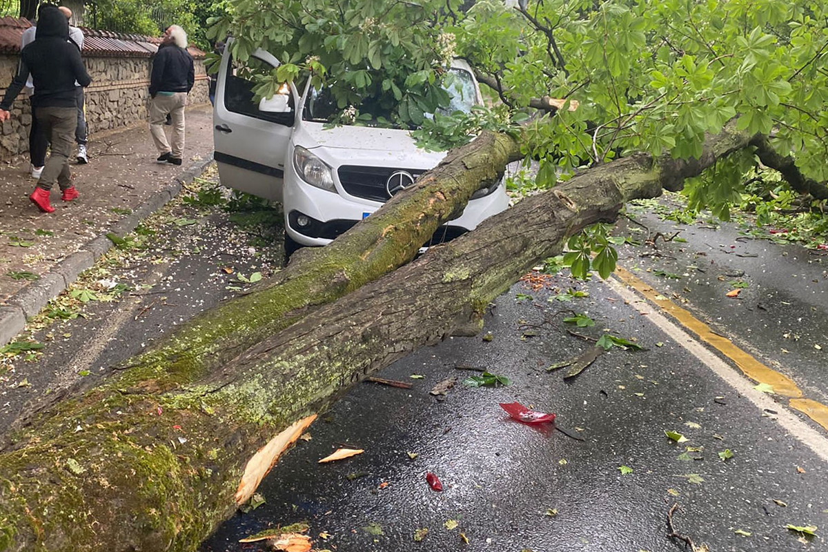 Üsküdar’da yol kenarında bulunan ağaç, şiddetli rüzgarın etkisiyle yolda seyir