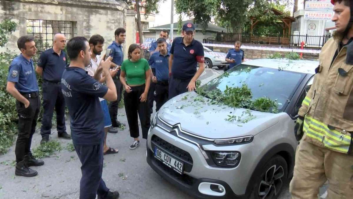Üsküdar'da asırlık ağaç otomobilin üzerine devrildi Üsküdar'da cami bahçesindeki asırlık