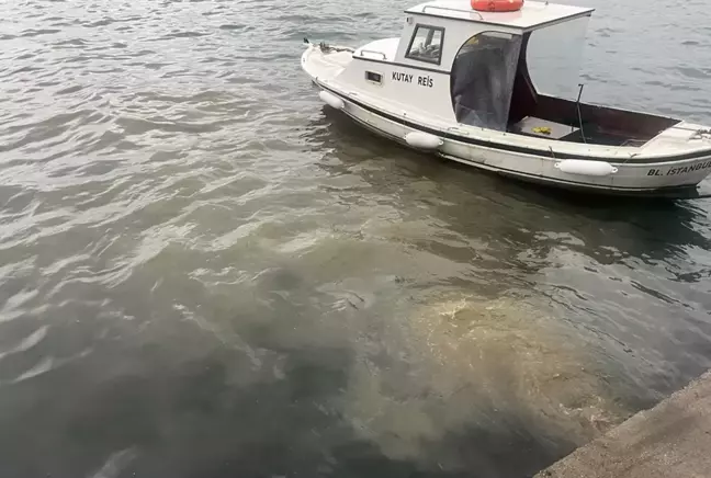 Çevre Şehircilik ve İklim Değişikliği Bakanlığı, İstanbul'un Üsküdar ilçesinde Kuleli