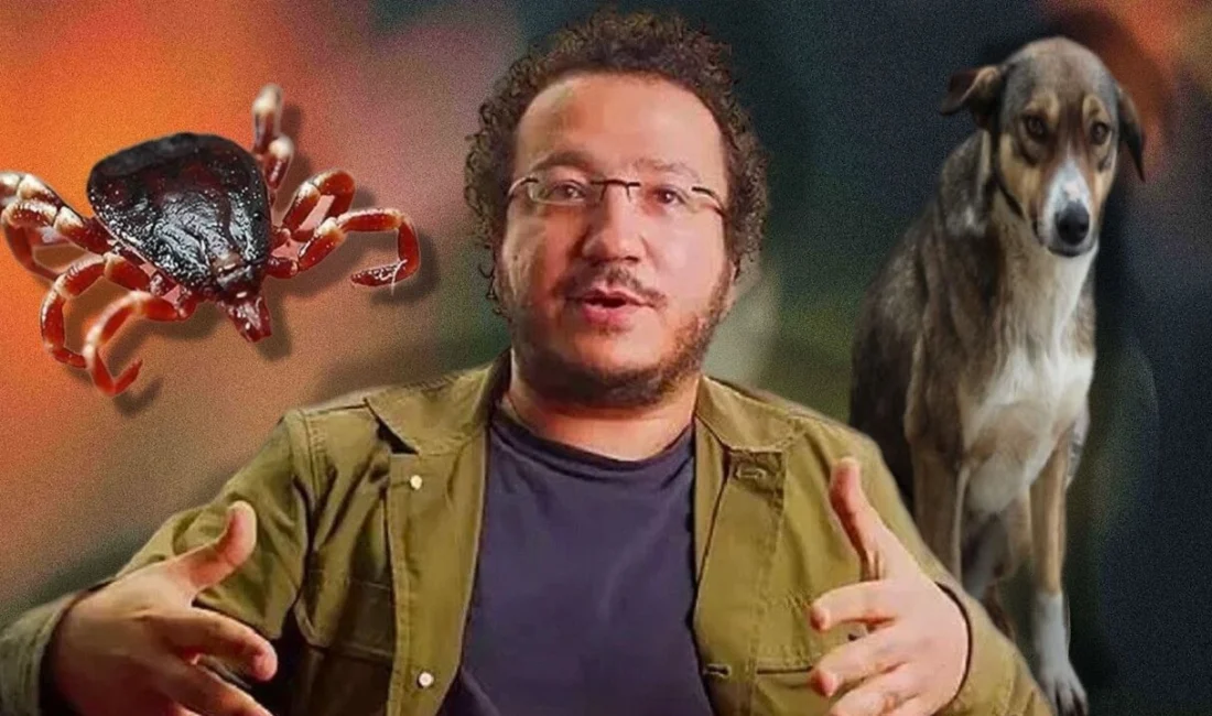 Havaların ısınmasıyla birlikte kene kaynaklı hastalık riski yeniden Türkiye'nin gündemine