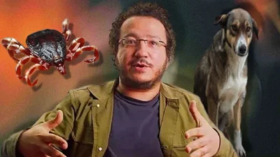 Havaların ısınmasıyla birlikte kene kaynaklı hastalık riski yeniden Türkiye'nin gündemine