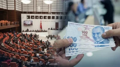 Kamuoyunda uzun süredir büyük bir merakla beklenen ve "vatandaşlık maaşı"