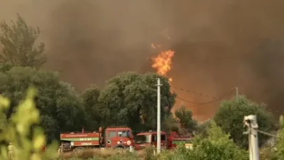 Muğla'nın Fethiye ilçesinde çıkan orman yangını, şiddetli rüzgarın etkisiyle kısa