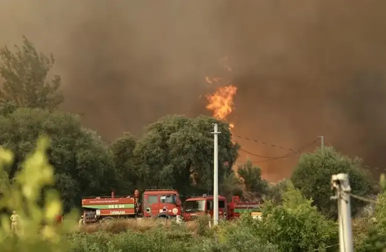 Muğla'nın Fethiye ilçesinde çıkan orman yangını, şiddetli rüzgarın etkisiyle kısa