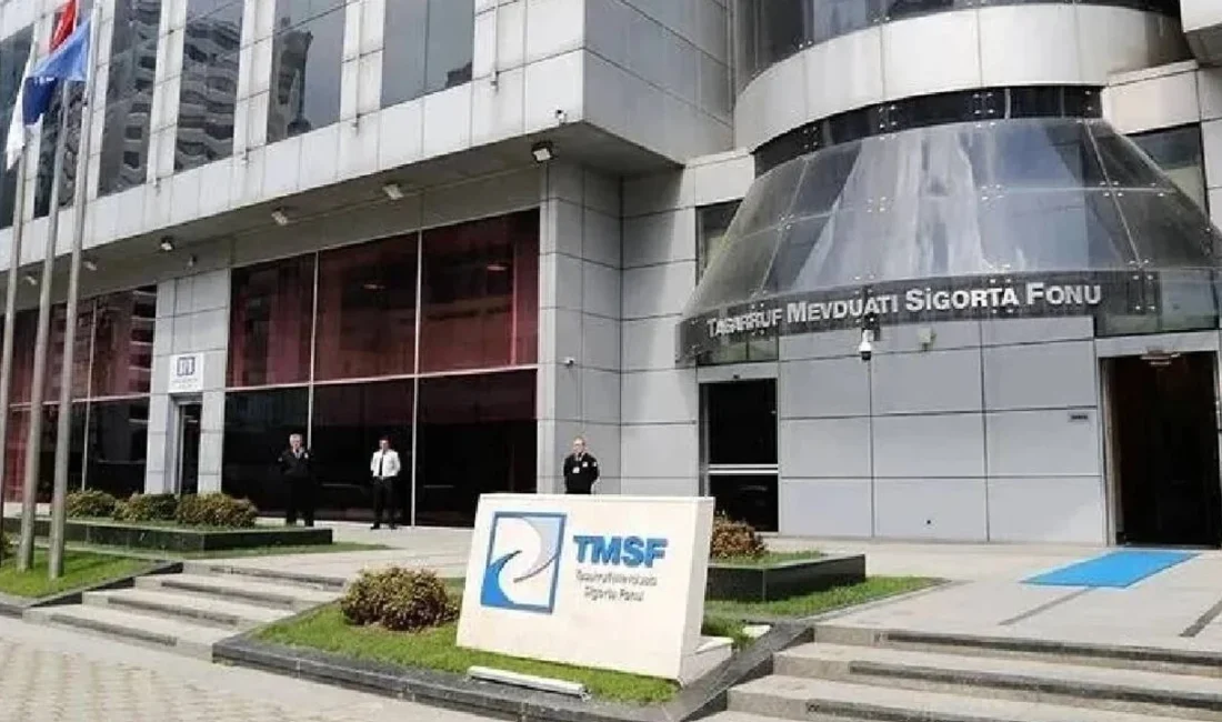 Tasarruf Mevduatı Sigorta Fonu (TMSF), sağlık sektörünü yakından ilgilendiren önemli