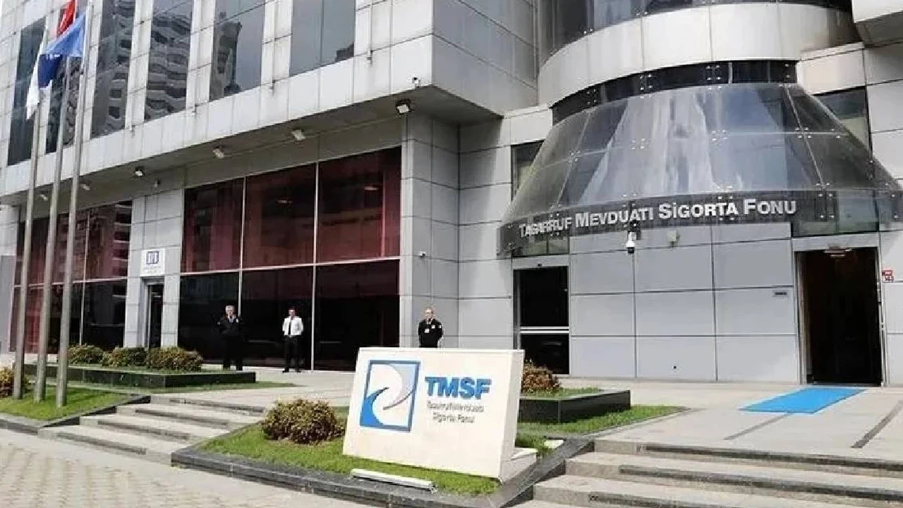 Tasarruf Mevduatı Sigorta Fonu (TMSF), sağlık sektörünü yakından ilgilendiren önemli