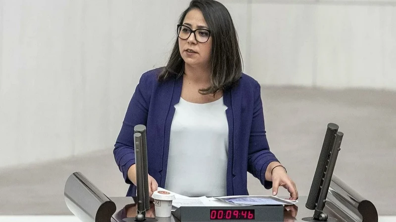 Ankara Cumhuriyet Başsavcılığı, TİP İstanbul Milletvekili Saliha Sera Kadıgil hakkında
